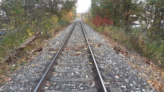 20231105_131431_resized groß.jpg